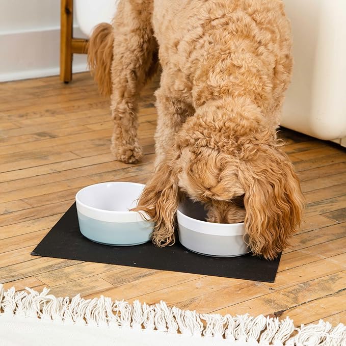 Waggo Dipper Ceramic Dog Bowl for Small and Large Breeds - Heavyweight and Durable Pet Food and Water Dish Crock, Dishwasher Safe, Modern (Cloud, Small)