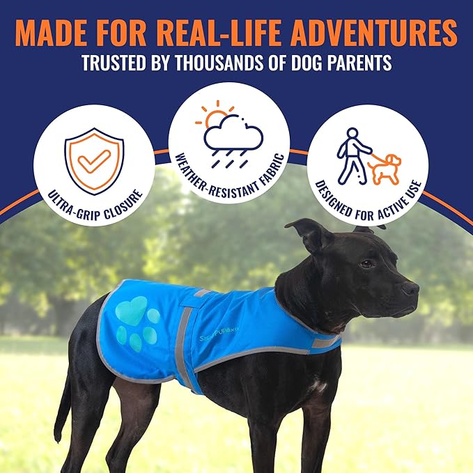 Dog Reflective Vest – Hi-Vis Fluorescent Visibility That Helps to Safeguard Your Pet On/Off Leash in Urban & Rural Areas (Blue, Small)