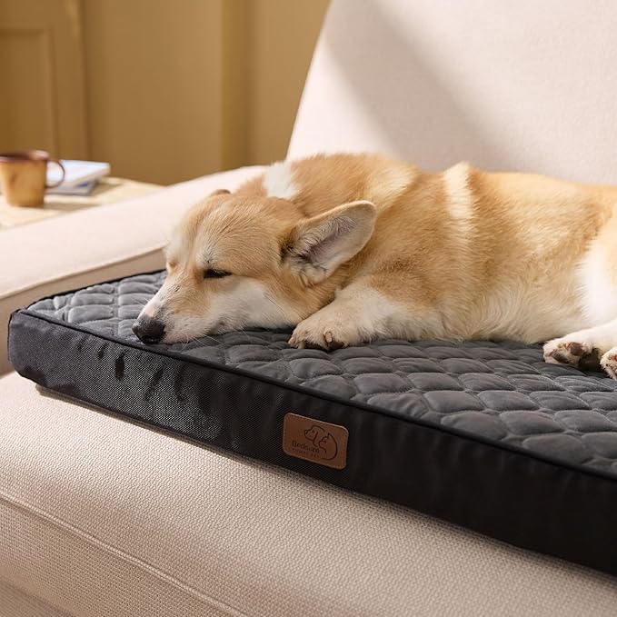 Bedsure Orthopedic Dog Bed for Medium Dogs - Flat Memory Foam Pet Mattress with Removable Washable Cover and Egg Crate Foam, Suitable for Pet Up to 35 lbs, 30x20x3 Inches, Black