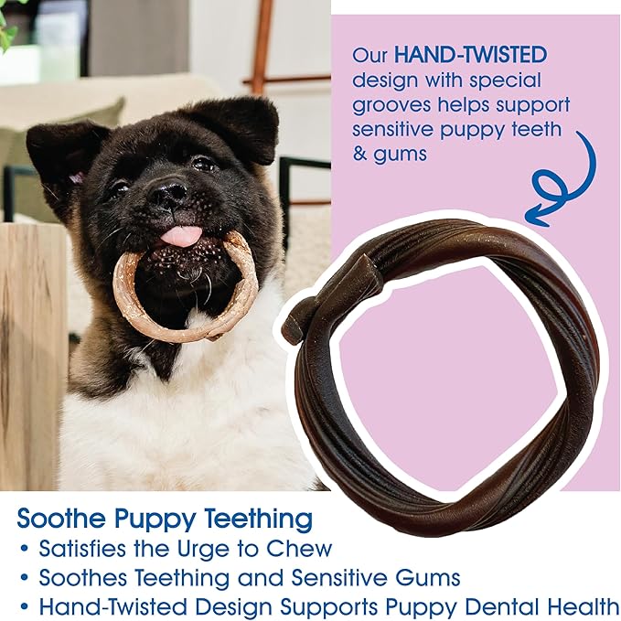 N-Bone Puppy Teething Rings Taste of Texas Burnt Ends Flavor 3 Count