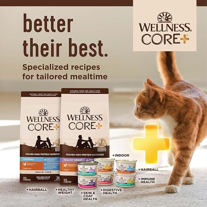 Wellness CORE+ Adult Dry Cat Food for Indoor and Outdoor Cats, Wholesome Grains, Natural, Digestive Health Chicken & Rice (5 Pound Bag)