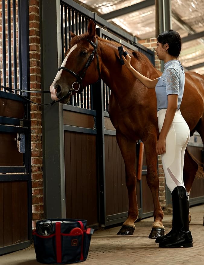 9PCS Horse Grooming Kit Curry Comb Sweat Scraper Horse Bathing Supplies Grooming Tools with Storage Bag Shadowberry