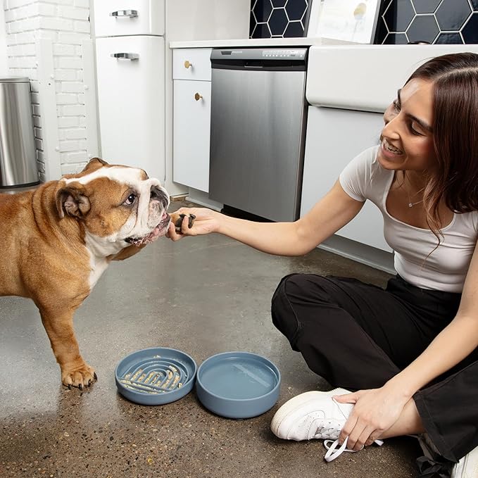 The Slowdown Bowl Silicone Slow Feeder for Dogs & Puppies, Slow Eating, Modern Lick Mat Design, Reduces Gulping, Fits 2 Cups 7.5” Across x 1.5” Tall, Mealtime Challenge, Medium-Tan