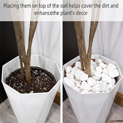 45LB 1"-2" White River Rocks for Plants, Polished Pebbles for Garden Landscaping, Planters, Aquariums, Vase Fillers – Indoor & Outdoor Decor