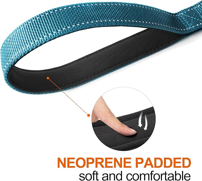 TwoEar 4FT 1IN Strong Blue Dog Leash with 2 Padded Handles, Traffic Handle Extra Control, Comfortable Soft Dual Handle, Auto Lock Hook, Reflective Walking Lead for Small Medium and Large Dogs