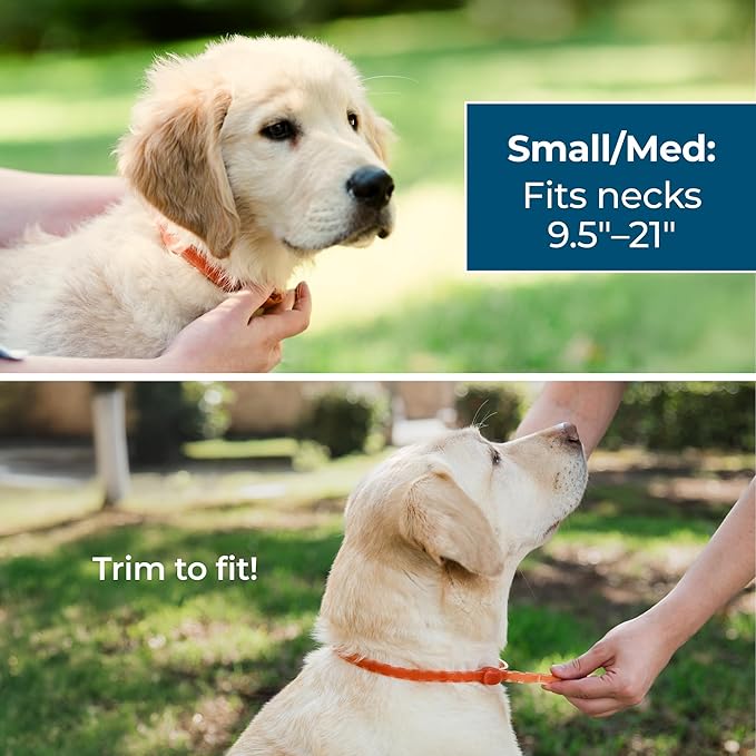 Wondercide - Dog Collar - Flea, Tick, Mosquito Repellent for Dogs with Natural Essential Oils - Small Medium 3PK - Up to 12 Months Protection