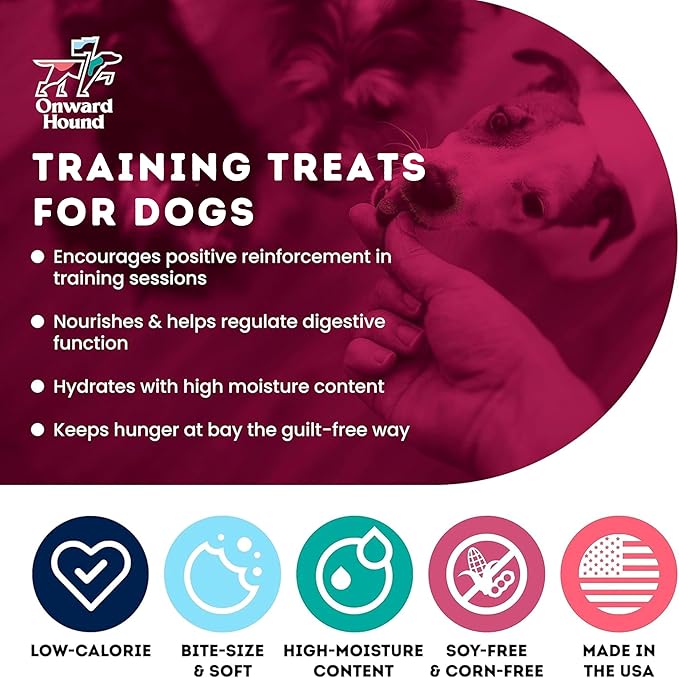 Training Treats for Dogs - Soft Salmon - Low Calorie Dog Training Treats for Sensitive Stomachs with Single Source Premium Protein, Corn Free, & Soy Free Formula - 4 oz