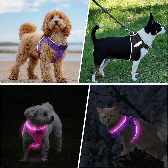 PceoTllar Light Up Dog Harness, LED No Pull Reflective Dog Harness, Flashing Lighted for Night Walking - Small/Medium, (Puplr,S)