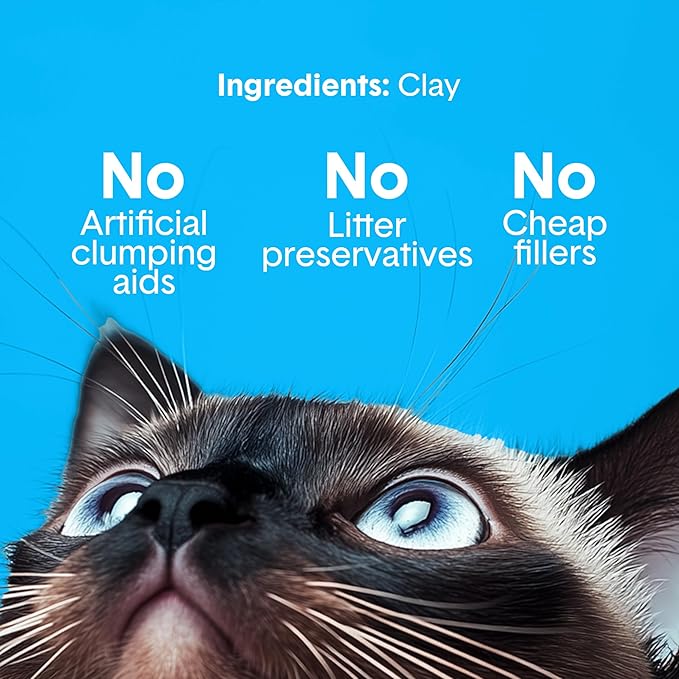 Boxie® Unscented 30 Day Odour Control Clumping Clay Cat & Kitty Litter 40 lb, 99.9% Dust-Free, Hard Flat Top® Clumps, No Fragrances No Fillers, Long-Lasting, Easy to Scoop