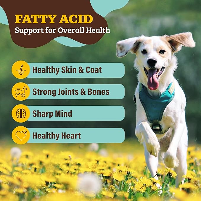 Natural Dog Company Super Seeds Food Topper, Omega-Rich, Natural Dog Multivitamin, Superfood Supplement, Dog Coat and Skin Health, Grain-Free Supplement, Daily Nutrition Boost, 8 Oz