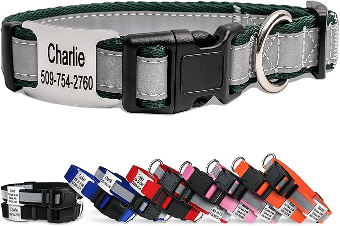 GoTags Reflective Personalized Dog Collar with Nameplate, Adjustable Dog Collar with Custom Engraved Steel Slide On Pet ID Tag, Silent, No Noise Dog Tag for Large Medium or Small (Hunter Green, Large)