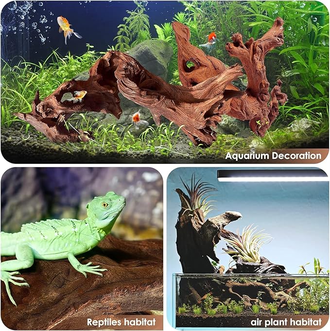 Natural Aquarium Driftwood for Fish Tanks & Reptile Terrariums – Safe Fish Tank Decorations, Unique Twisted Branches 2-Piece 10-14 Inch Low Tannin, Easy to Sink