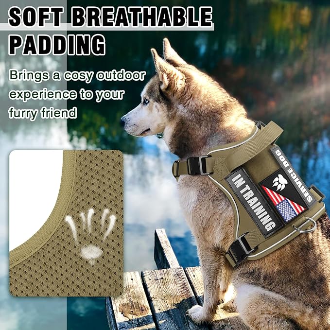 WINSEE Service Dog in Training Harness with 5 PCS Patches, Reflective Tactical Dog Vest Harness, Adjustable Soft Oxford Pet Harness with Easy Control Handle, Hook & Loop Panels for Walking Hiking