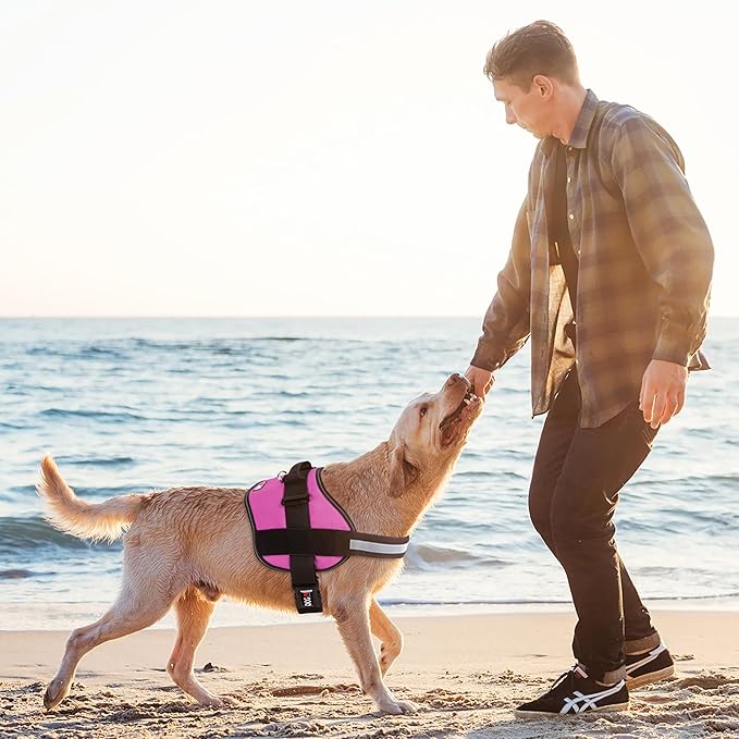 Dogline Dog Harness, Reflective No-Pull Adjustable Vest with Handle for Walking, Training, Breathable, No - Choke Harness for Small, Medium or Large Dogs Room for Patches Girth 33"-46" in Pink