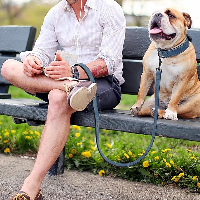 Didog Soft Padded Leather Dog Collar and Leash Set, Adjustable Dog Leash and Collar Set with Metal Buckle, Breathable Dog Collars with 4FT PU Leather Dog Leash for Small Medium Dogs, Blue, M