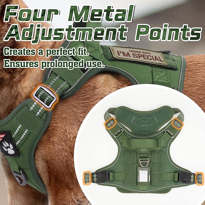 rabbitgoo Tactical Dog Harness for Small Dogs, No Pull Military Service Vest with Handle & Molle, Easy Control for Training Walking, Adjustable Reflective Straps, Green, S