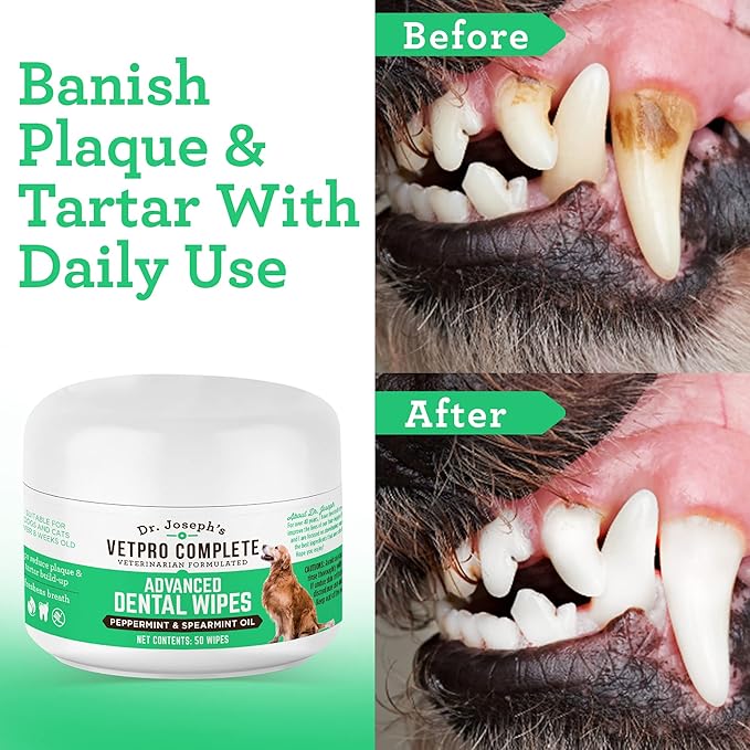 VetPro Complete Dr. Joseph's Advanced Dog Dental Wipes, 50 Count, Easy Teeth Cleaner for Dogs and Cats with Peppermint and Spearmint, Freshens Breath, Reduces Tartar