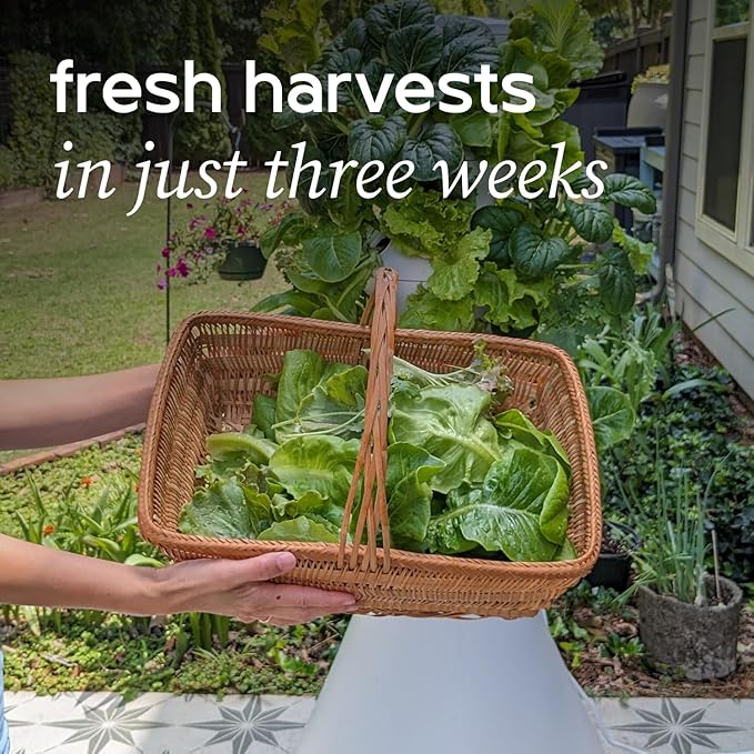 Farmstand Starter Kit + 30 Seedling Credits | Family Hydroponic Growing System Kit | Self-Watering Outdoor Vertical Garden Planter Tower | 5ft 5in | Made in USA