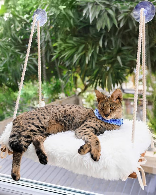 Cat Window Perch for Large Cats - Hammock Bed for Heavy Indoor Cats - Solid Wood Seat, 5 Strong Suction Cups, Soft Cushion - Rustic Shelf for Pets Inside