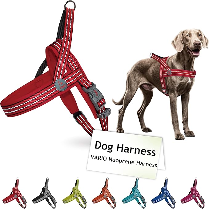 DOCO No-Pull Dog Harness Halter Reflective Easy-Control Harness for Training, Walking, and Preventing Pulling, Ideal for Large Dogs(Red)