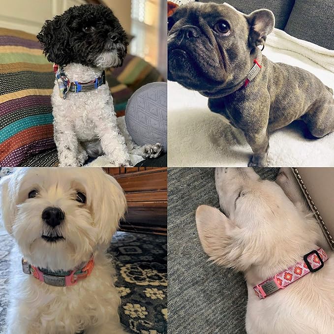 Personalized Engraved Dog & Cat ID Tags - Slide On, Silent, Custom Collar Tags for Small, Medium, Large Pets