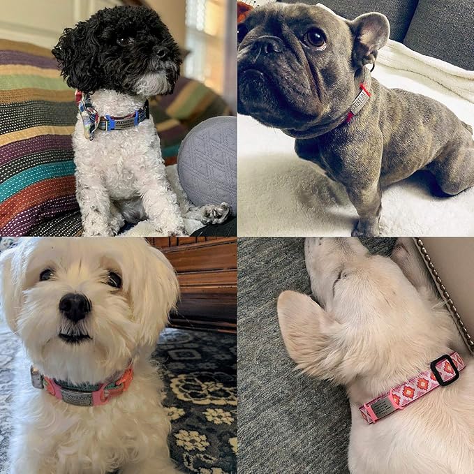 Personalized Dog & Cat ID Tags - Engraved Dog Name Tags - Slide On, Silent & Customizable for Small, Medium & Large Pets