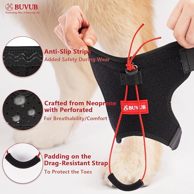 Canine Dog Knuckling Brace Rear Leg Dog Foot Brace Wrap for Toe Dragging Cause by Sciatic Nerve Insufficiency, Myelopathy, Herniated Disc (Large)
