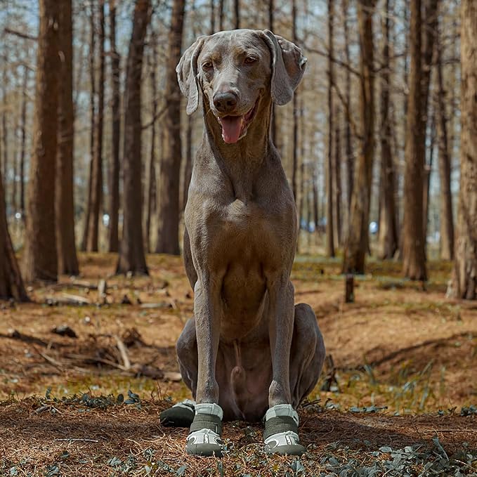 Dog Shoes, Waterproof Dog Boots & Paw Protectors with Anti-Slip Sole, 4pcs/Set Pet Dog Booties, Reflective Dog Shoes for Small Medium Large, Winter Snowy Summer Hot Pavement (Green, 5# (M))