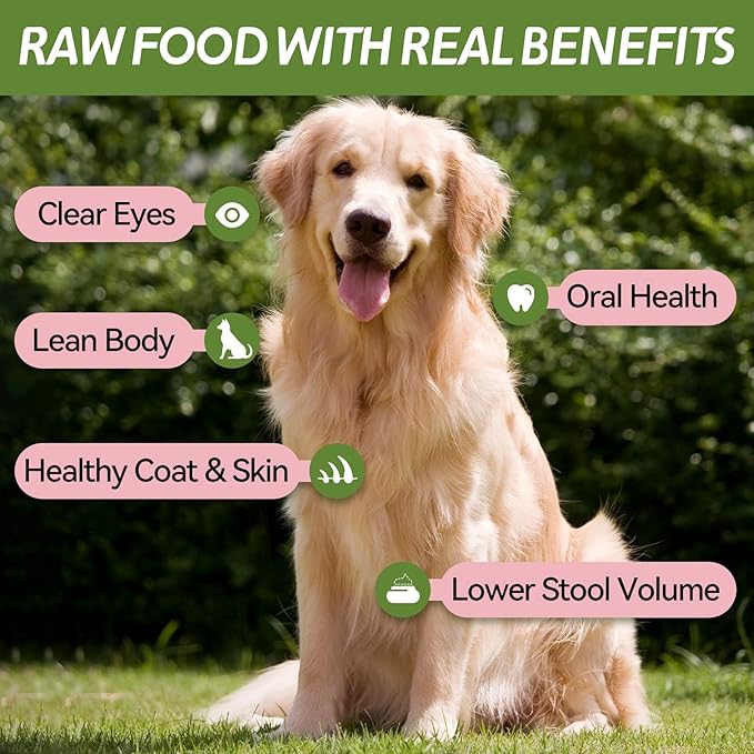 OPET Freeze Dried Cat Treats, Single Ingredient Grain Free High Protein Pet Food for Cats and Dogs, Healthy Training Snacks，Freeze Dried Pork Sliced Fillets (Pork, 1.48 Ounce)