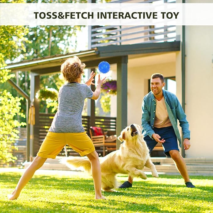 petizer Dog Toy Balls, 3-Pack Squeaky, Floating, Spiky, Interactive Fetch, Chew for Small Medium and Large Dogs, Waterproof, 2.5/3.5in