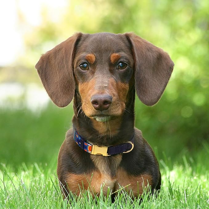 AirTag Dog Collar for Small Medium Large Breed - Adjustable Cute Pattern Dog Collar with Airtag Holder - Soft Leather Tracker GPS Apple Air Tag Pet Collars (X-Large, 20"-25" Neck Fit, Navajo)