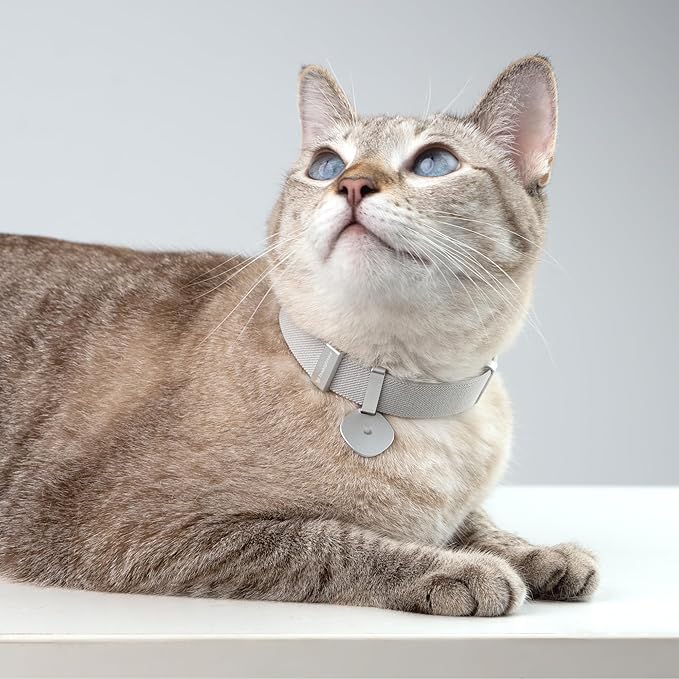 Safety Cat Collar Pro and Tag Set - U.S. IDA Gold Award, Elastic Release Cat Collar Charm Tag, Non Breakaway Cat Collar Adjustable with Charm for Kitten Small Large Cats (Midnight Black, M)