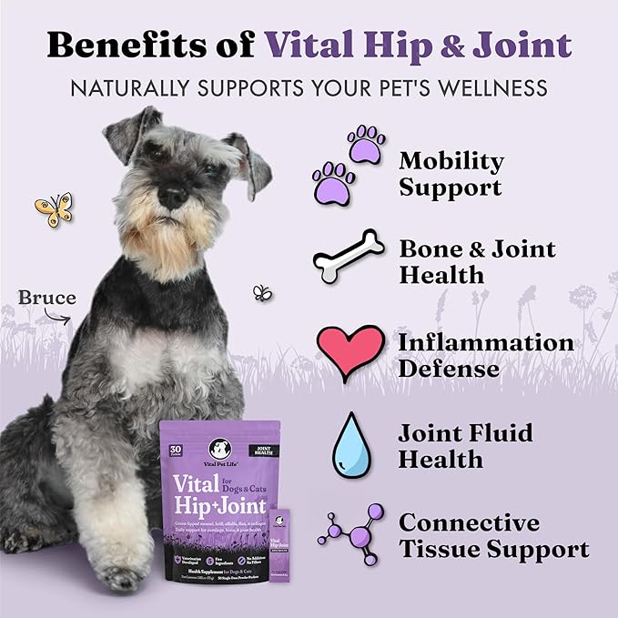Vital Hip & Joint Supplement for Dogs and Cats - Dog Joint Supplement, Mobility Support, Inflammation Defense, Green Lipped Mussels, Krill, Collagen for Dogs, Veterinarian Developed, 30 Packets