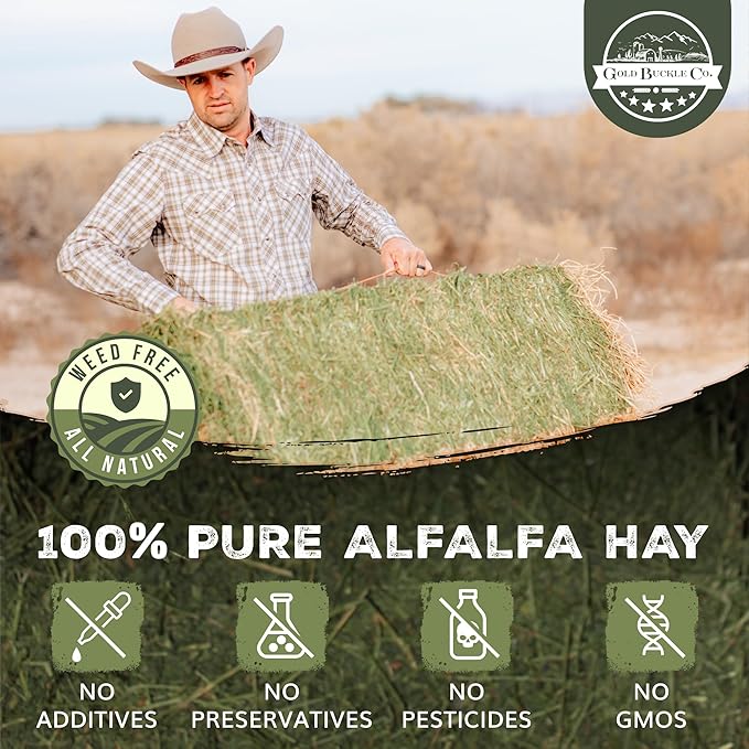 20lb Freshly Dried Organic Alfalfa Hay for Guinea Pigs, Rabbits, Chinchillas, Goats, Hamsters & Ferrets, Small Animal Food Rich in Protein & Fiber, Hand-Selected, Hand sorted, USA Grown
