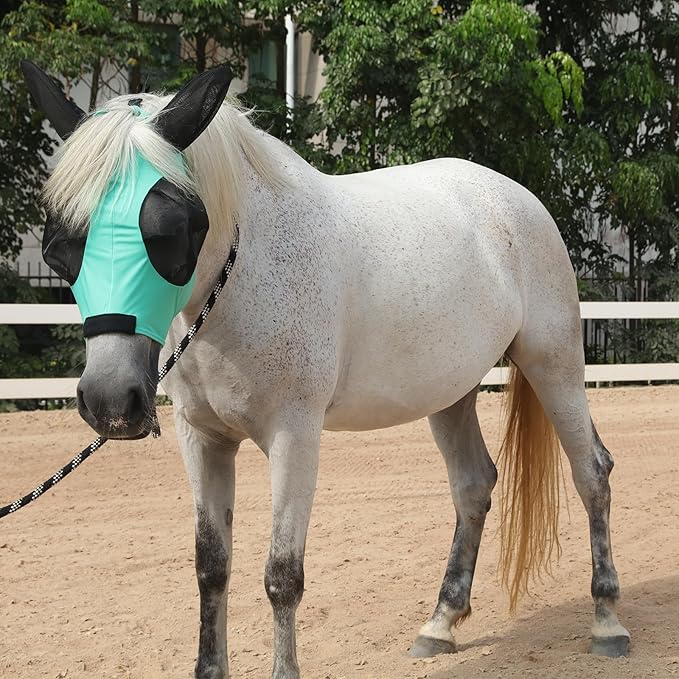 Horse Fly Mask with Ears - Large Eye Space for Full Vision, Breathable Stretch Comfort Fit, UV Protection, Forelock Opening, Easy Pull-On Green Cob