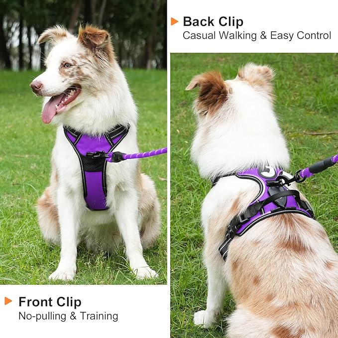 Taglory Light Up Dog Harness, Rechargeable No Pull Dog Vest with 3 Lightning Modes, Reflective Dog Harness with 2 Leash Clips & 4 Adjustable Slide Strips for Large Dogs, Purple-Orange, L