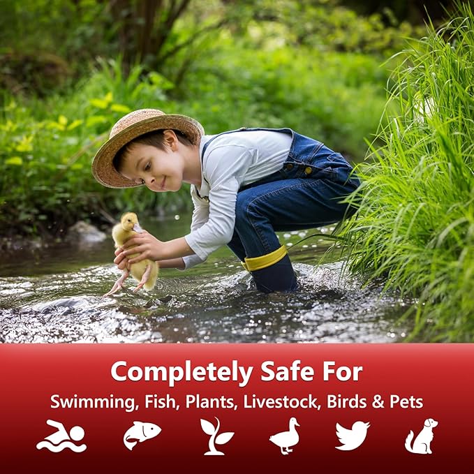 Pond Clear Water Treatment,6 Packets Natural Pond Water Clear for Lakes,Beneficial Bacteria & Enzyme Clarifier Treatment to Improve Water Clarity & Eliminate Odor,Safe for Fish