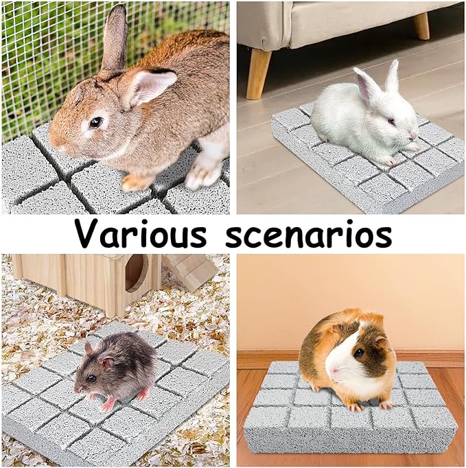 Hamiledyi 4PCS Rabbit Scratching Pads Bunny Lava Grinding Claw Pads Small Animal Foot Pads Hamster Scratch Board Chew Toys for Gerbil Chinchilla Hedgehog Guinea Pig Cage Accessories