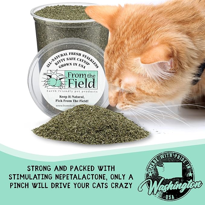 from The Field | Fine Ground Stalkless Catnip | Premium USA-Grown Catnip for Toys & Playtime | Fresh, Potent, Non-Toxic, Eco-Friendly | Safe for Kittens & Cats | Resealable 10 Oz Bag