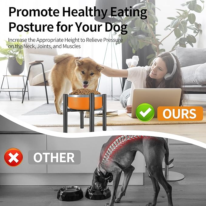 Lifted Dog Bowl Stand - Without Bowls, Single Raise Pet Food Table Adjustable Wide 6-10", Tall 8 10 12" - Bowl Stand Size Optional, Dog Bowl Holder Elevated for Small Medium Large Dog Breed