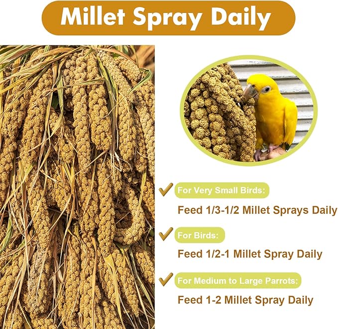 Jmxu's 2LB Spray Millet Treat for Birds Parakeets, Natural Sun-Dried Birds Millet for Cockatiel, Finches, Parrots, Hamster