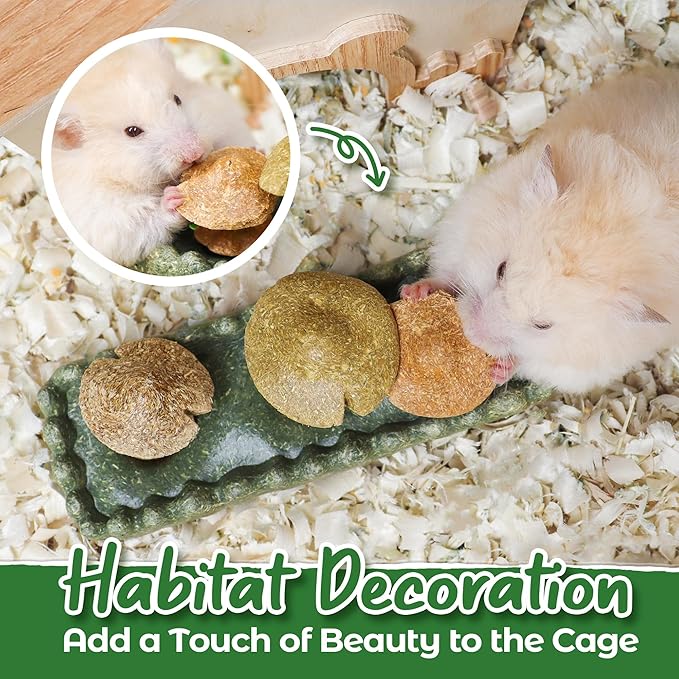 TEEWY 4PCS Guinea Pig Chew Toys, Prevent Teeth Overgrowth, Natural Vegetables and Timothy Grass, Hamster Chew Toys, Guinea Pig Toys, Chinchilla Toys, Grass Patch & Mushrooms