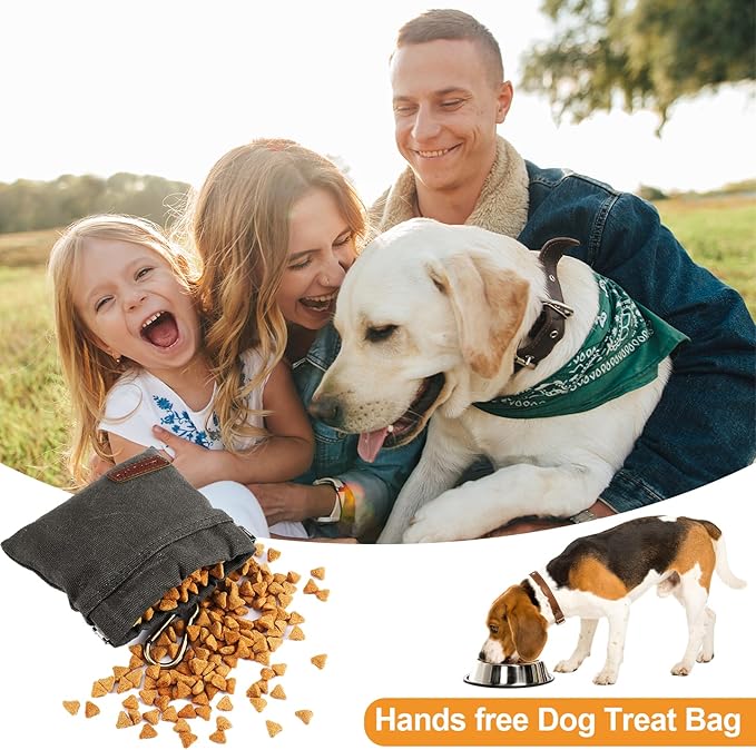 2PC Dog Treat Pouch,Dog Training Treat Reward Bag,Portable Puppy Hand Free Dog Walking Bag,Auto Closing Dog Food Dispenser,Behavior Aids for Puppy Travel or Outdoor(Green+Grey)