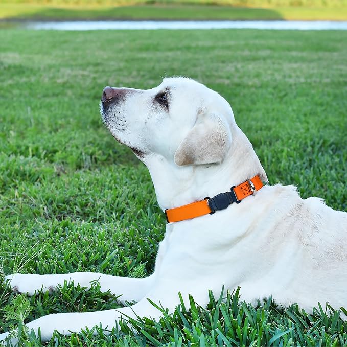 Dogline Biothane Waterproof Dog Collar with Herm Sprenger Stainless Steel Quick Release Buckle – Heavy Duty Tactical Durable Collar for Dogs – Comfortable and Safe Pet Collar, W 1" L 15-25", Tangerine