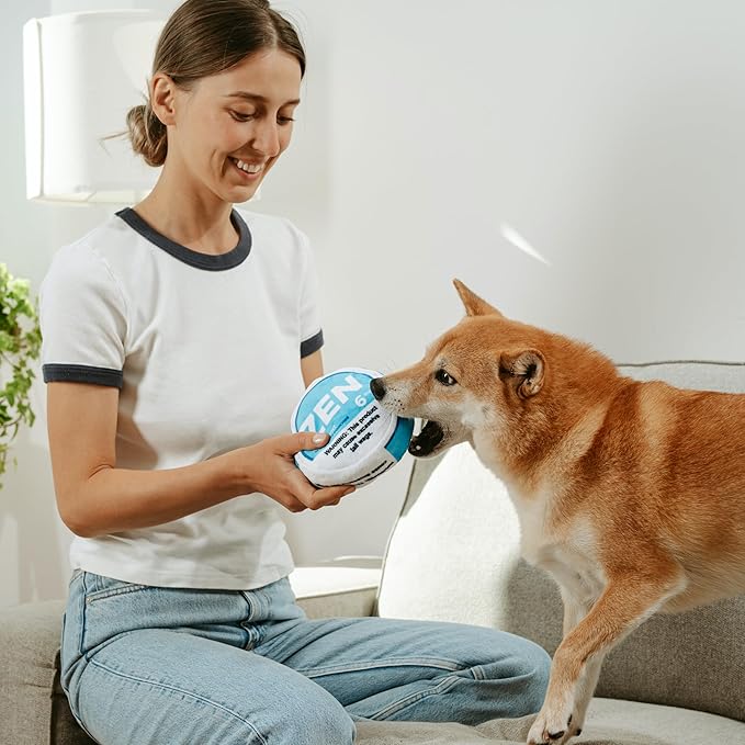 Zen Pupper Deckies Parody Dog Toy - Plush Squeaky and Crinkle Funny Dog Toy - Drool Mint