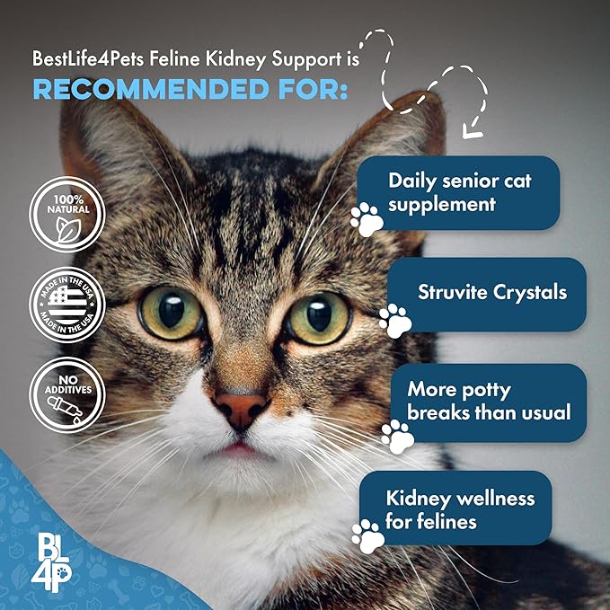 Cat UTI Remedy & Kidney Support for Cats, Natural Urinary Tract Infection and Cat Bladder Crystals Treatment Helps Flush Out Kidney Stones, Clears Infection, & Improves Kidneys Health, 400 Tiny Pills