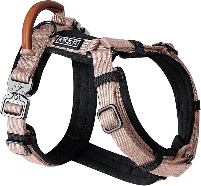 MADE TO ROAM Premium Explorer Harness - Y-Shaped Dog Harness with Adjustable Durable Nylon, Soft Padding, Metal Buckles and Leather Handle for Small, Medium, Large Dogs (Utah Glow, Size 2)