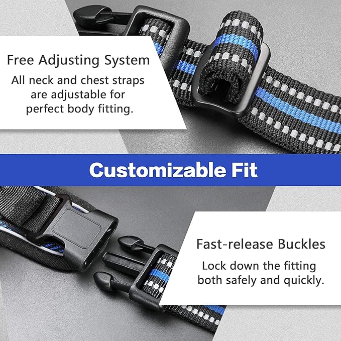 rabbitgoo Dog Harness No-Pull, Comfortable Padded Plaid Harness with Handle Easy Control, Adjustable Reflective Pet Vest with 2 Leash Clips for Small Dog, Blue Plaid, S