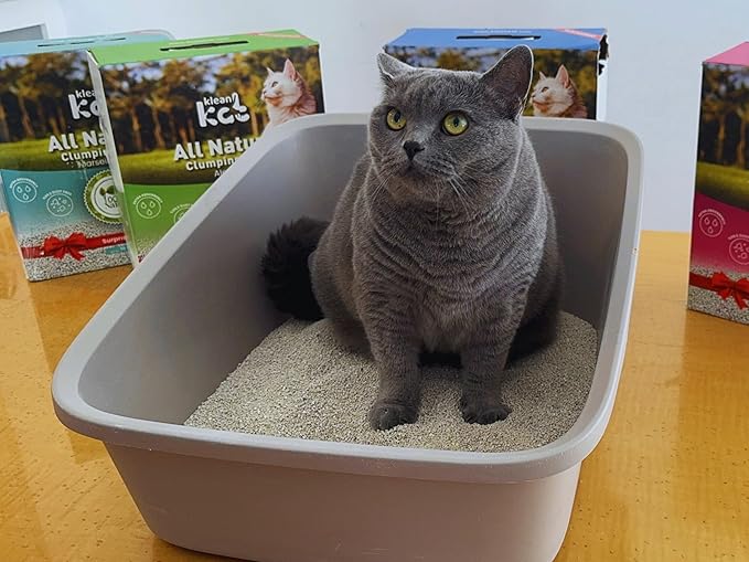 All Natural Clumping Cat Litter – Multiple Scents – Low Dust, Odor Control – (Aloe Vera) 18 lb - Surprise Toy Inside