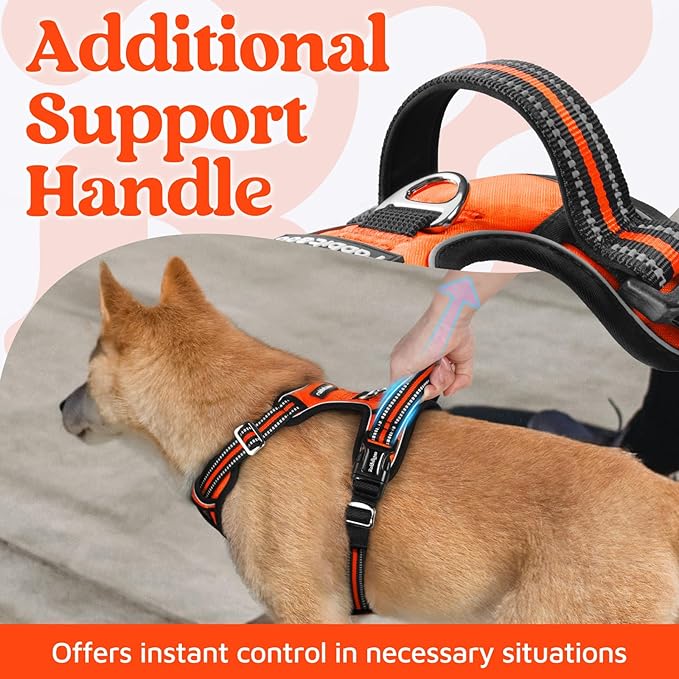rabbitgoo Dog Harness Small Sized, No Pull Dog Vest with 3 Buckles, Adjustable Soft Padded Pet Harness with Easy Control Handle and Reflective Strips, Orange, S